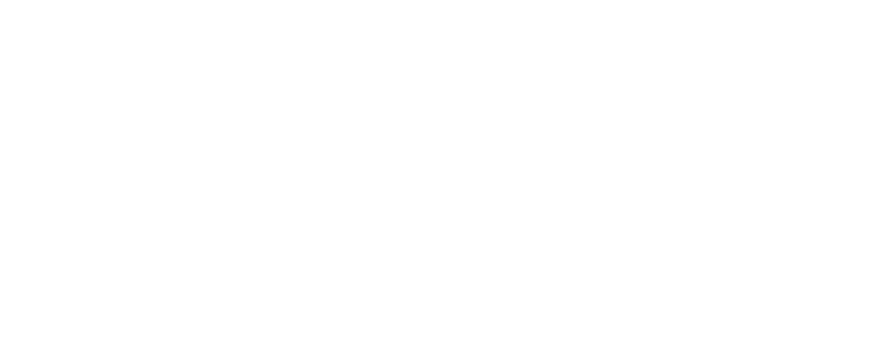 Tally Solutions Parent Brand Logo
